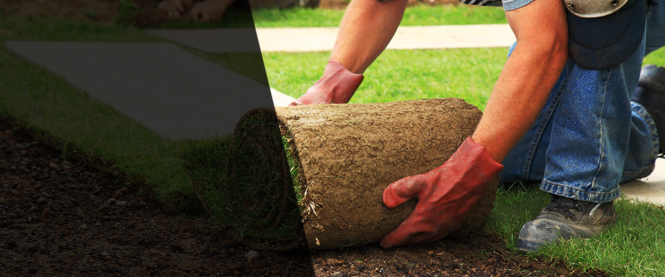 Watertown Landscapers